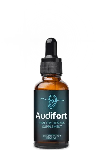 What Is AudiFort?